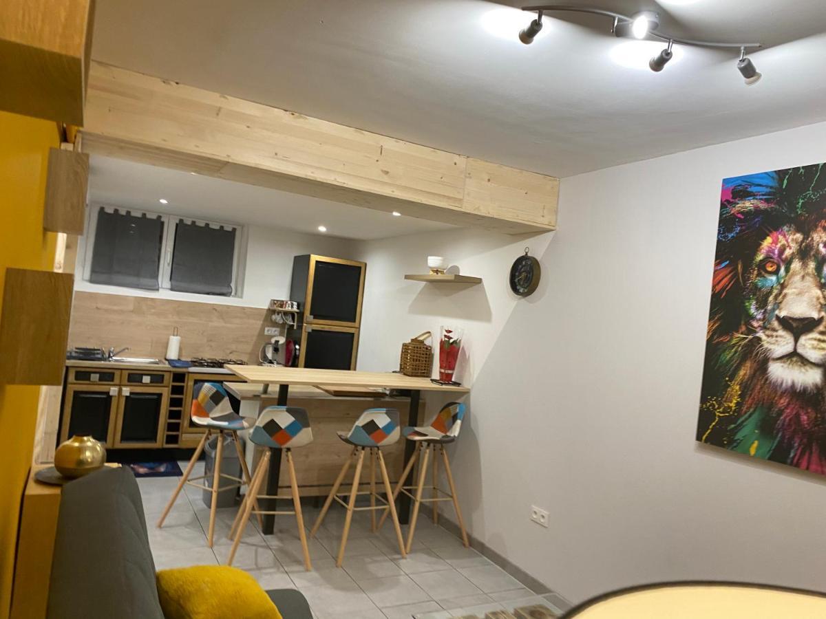 Studio 40M2 Plein Pied Avec Parking Jussac Esterno foto