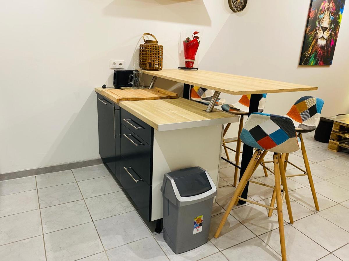 Studio 40M2 Plein Pied Avec Parking Jussac Esterno foto